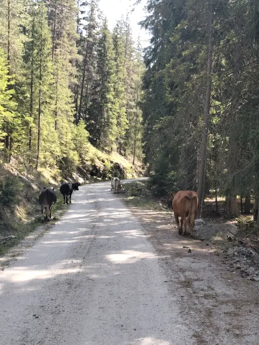 טיול ג';יפים בבולגריה נהיגה עצמית - 8 ימים - מגוון תאריכים