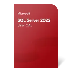 SQL Server 2022 - 1 User CAL